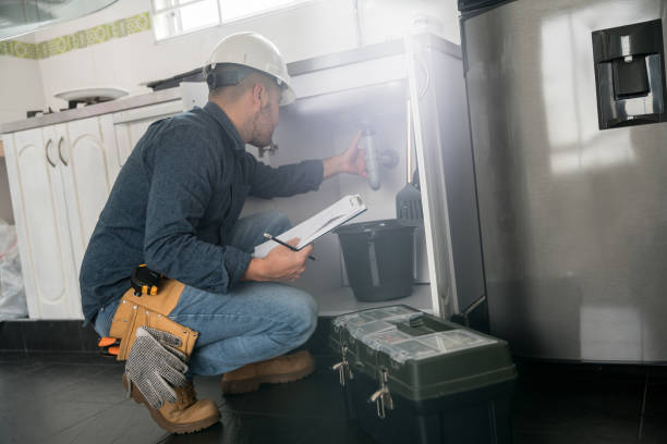 Best Water Leak Repair  in Mount Carroll, IL