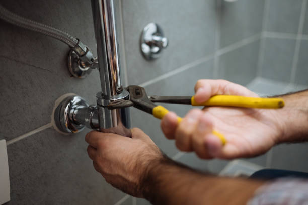 Best Affordable Plumbing Services  in Mount Carroll, IL