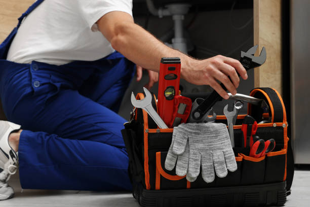 Best Toilet Repair Services  in Mount Carroll, IL