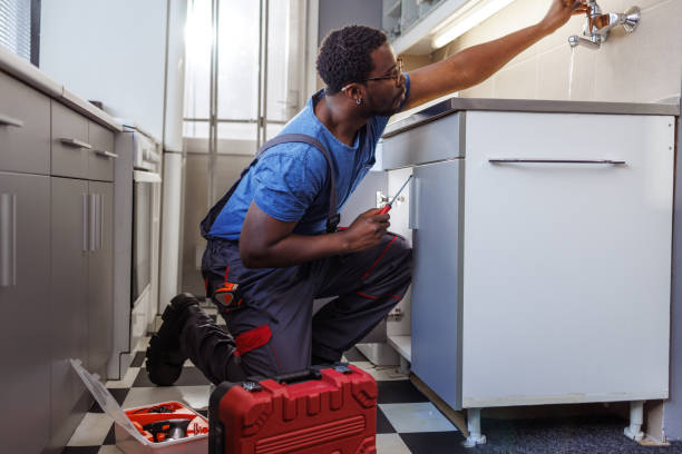 Best Emergency Plumbing Repair  in Mount Carroll, IL