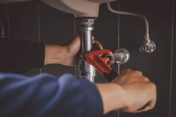Best Plumbing Installation Services  in Mount Carroll, IL
