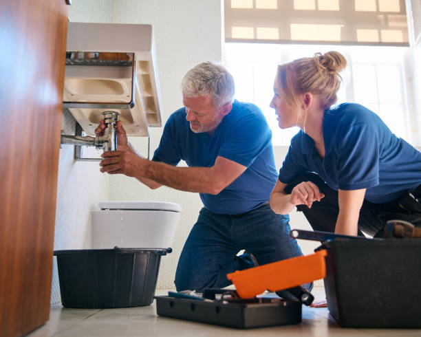 Best Best Plumbers Near Me  in Mount Carroll, IL